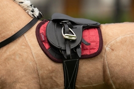 Mini Toy Pony Pad - Cranberry - LeMieux